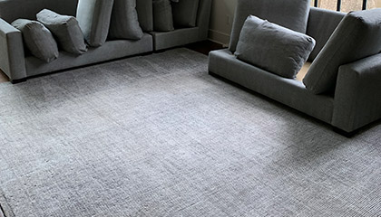 3 Reasons to Get Your Carpet Professionally Cleaned in Edison, NJ